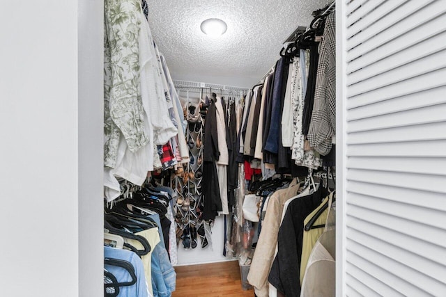 spacious closet featuring hardwood / wood-style floors