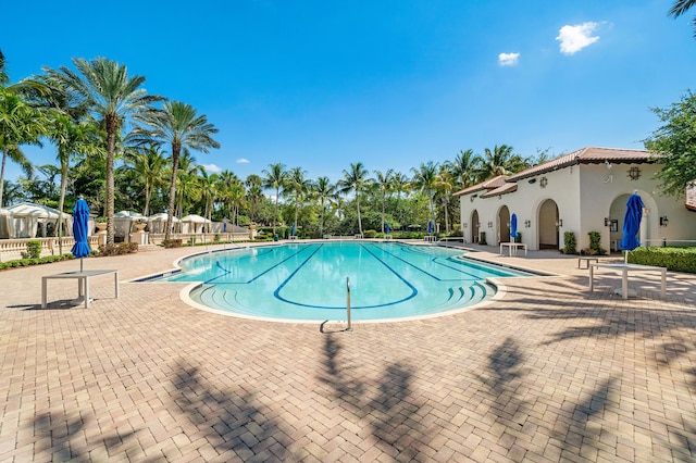 view of swimming pool with a patio area