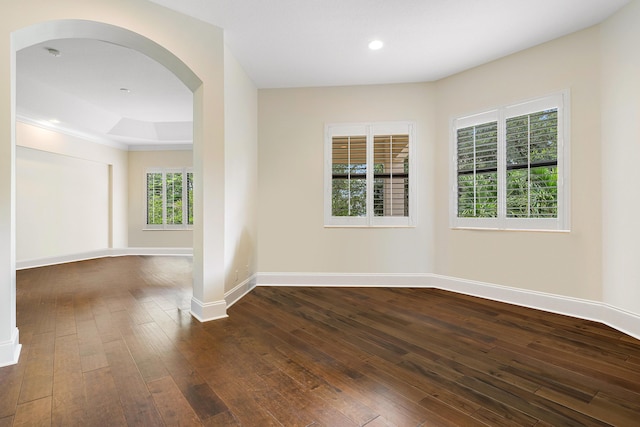 empty room featuring a healthy amount of sunlight, dark hardwood / wood-style floors, and a tray ceiling