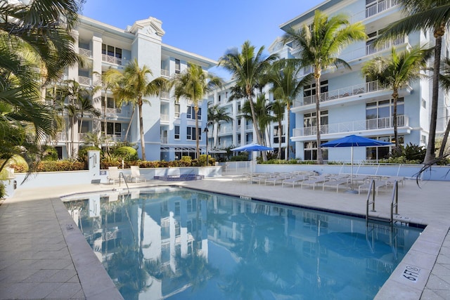 view of swimming pool with a patio