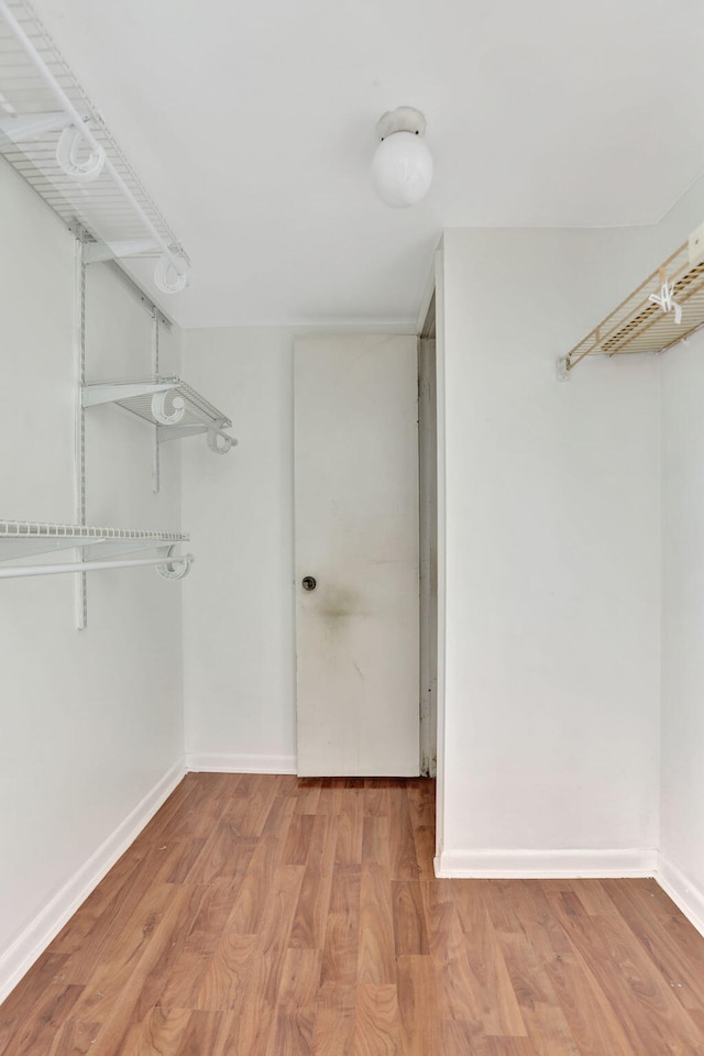 walk in closet with wood-type flooring