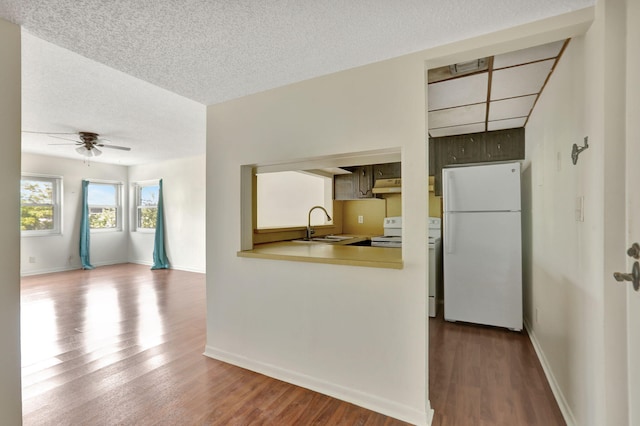 kitchen with ceiling fan, white appliances, a textured ceiling, and hardwood / wood-style floors