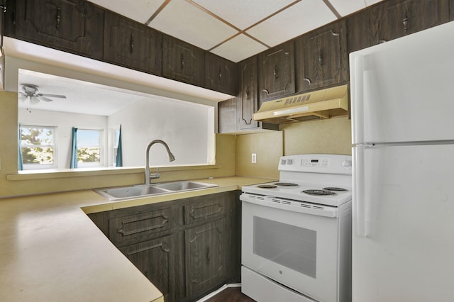 kitchen featuring ceiling fan, sink, white appliances, and dark brown cabinetry