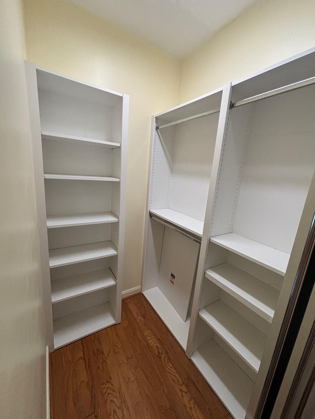 spacious closet featuring dark wood-type flooring