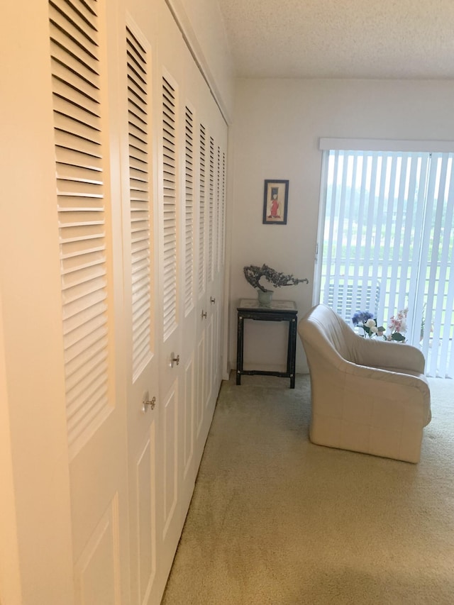 corridor featuring light carpet and a textured ceiling