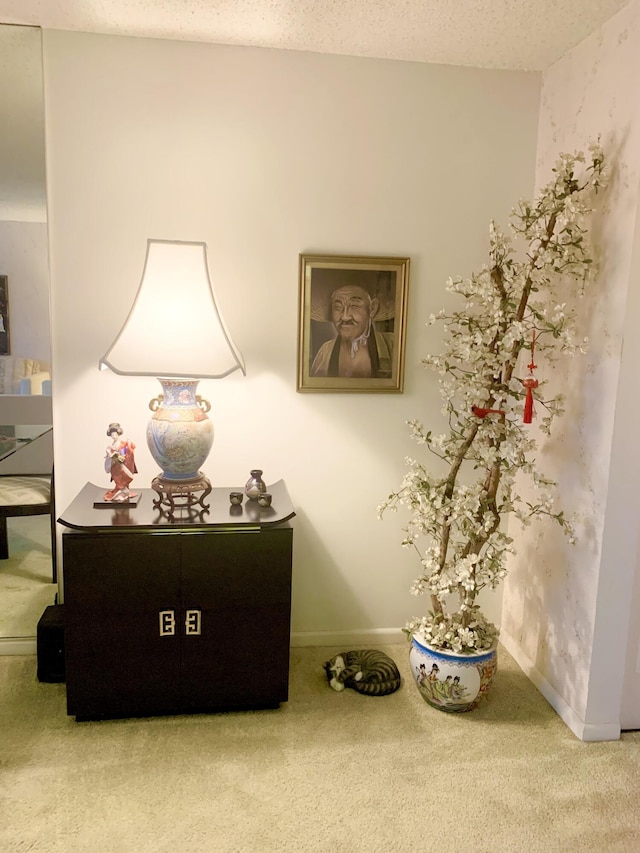 interior details with a textured ceiling and carpet flooring