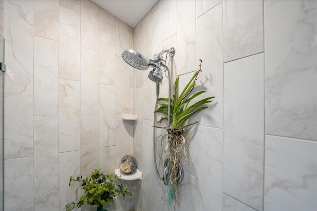 room details with tiled shower