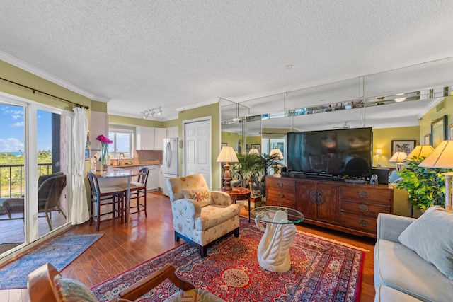 living room with ornamental molding, sink, wood-type flooring, and a textured ceiling