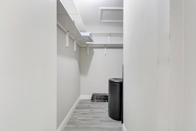 walk in closet with light wood-type flooring