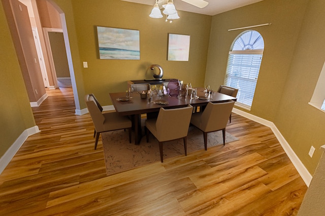 dining room with light hardwood / wood-style flooring