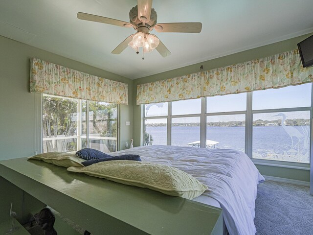 bedroom featuring carpet