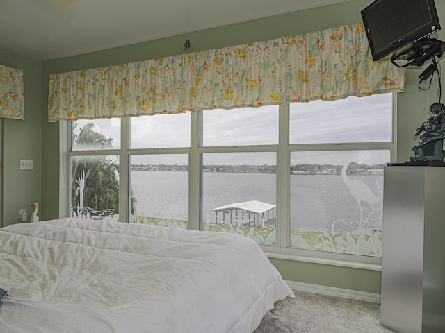 bedroom with a water view and baseboards