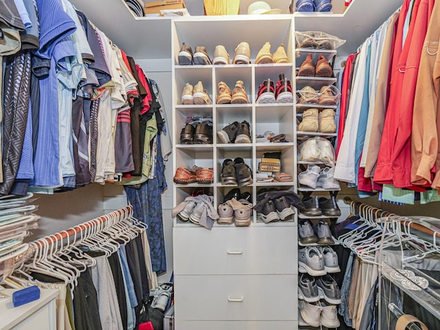 view of spacious closet