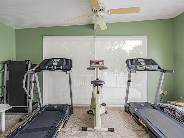 workout room featuring ceiling fan and carpet flooring