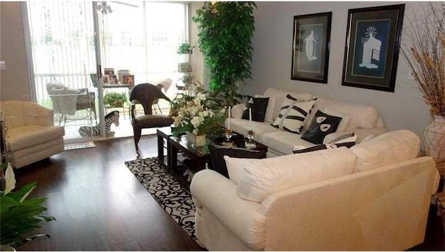 living room with dark wood-type flooring