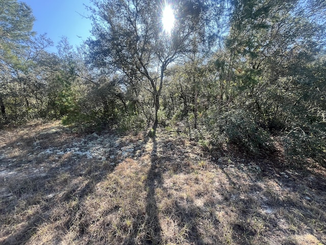 13589 SW 27th Cir, Ocala, FL 34473