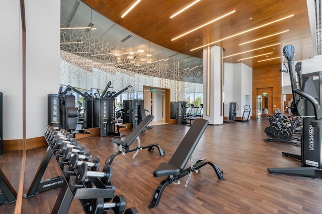 gym featuring wood-type flooring and a towering ceiling