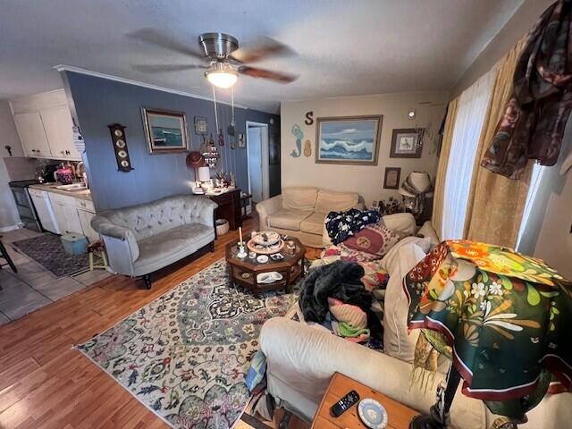 living room featuring ceiling fan and light hardwood / wood-style flooring