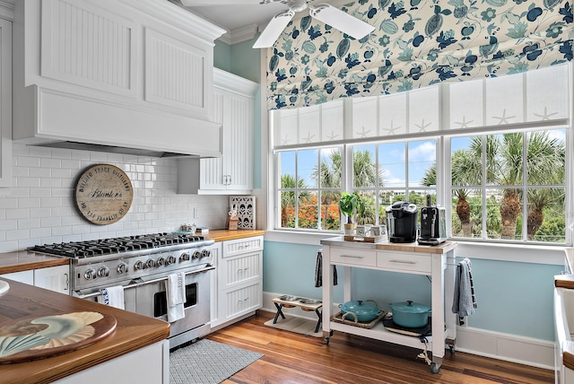 kitchen with premium range hood, white cabinets, double oven range, and a healthy amount of sunlight