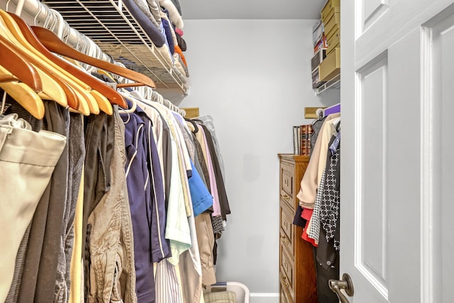 view of spacious closet