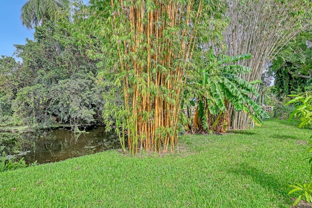 view of yard featuring a water view