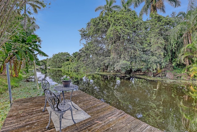 dock area featuring a water view