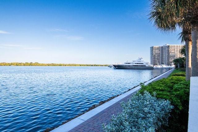 property view of water