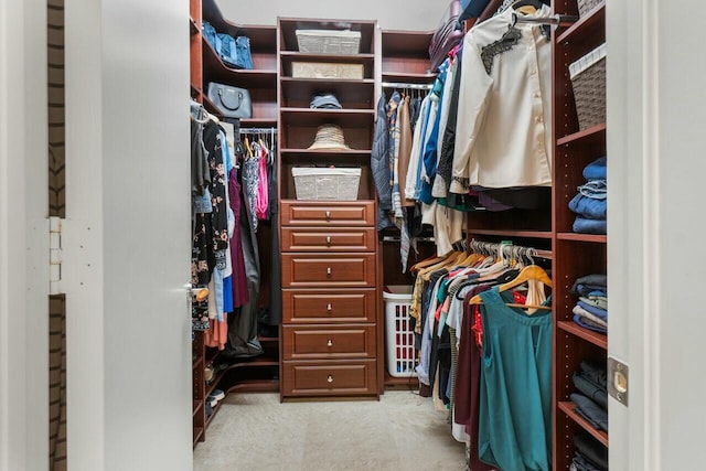 view of walk in closet