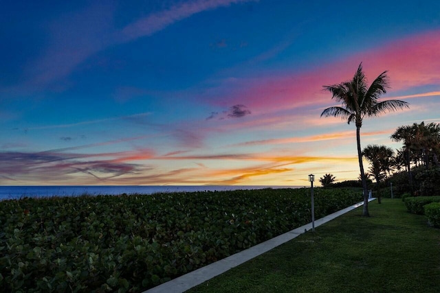 yard at dusk with a water view