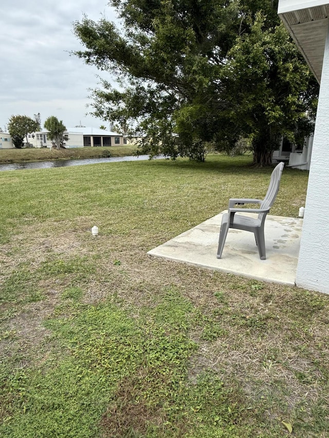 view of yard featuring a patio