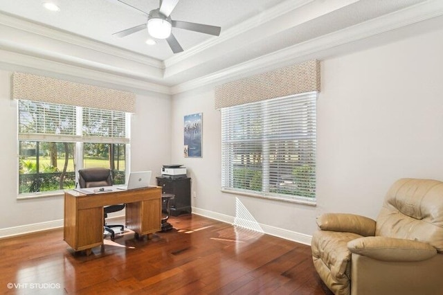 office area with dark hardwood / wood-style flooring, ornamental molding, a raised ceiling, and ceiling fan