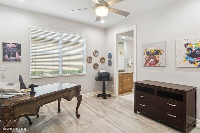 office space with ceiling fan and light hardwood / wood-style flooring