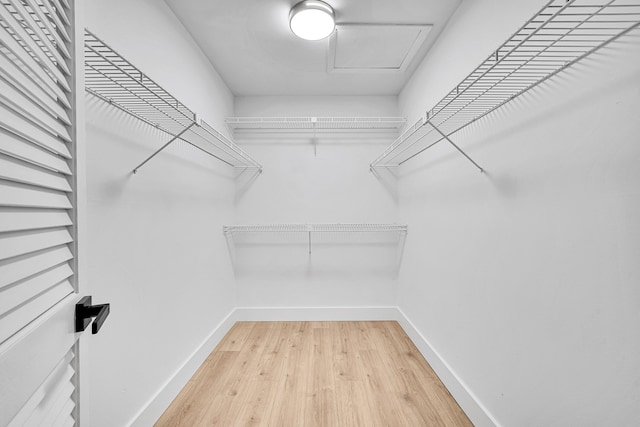 spacious closet featuring wood-type flooring