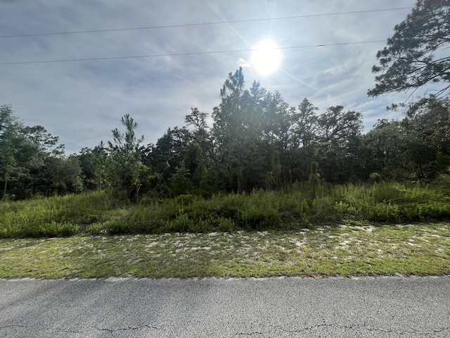 0 SW Sandspoint, Dunnellon FL, 34431 land for sale