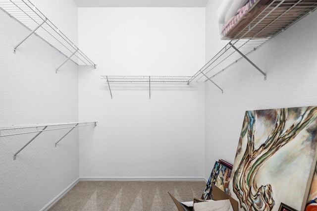 spacious closet with carpet floors