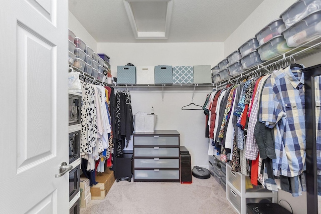 walk in closet featuring carpet