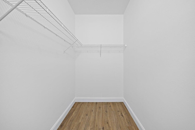 walk in closet featuring wood-type flooring