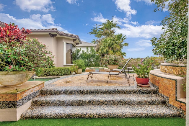 view of yard with a patio