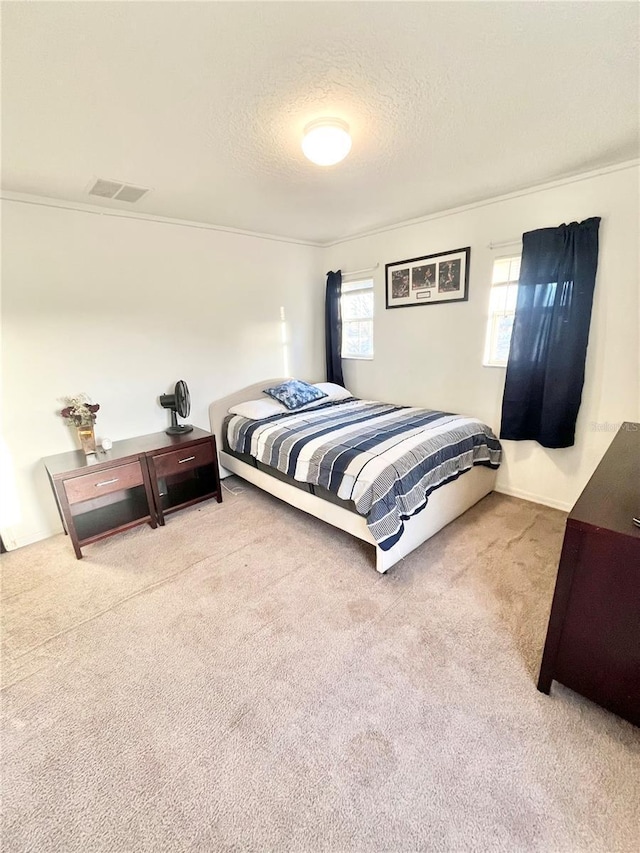 bedroom with carpet flooring and a textured ceiling