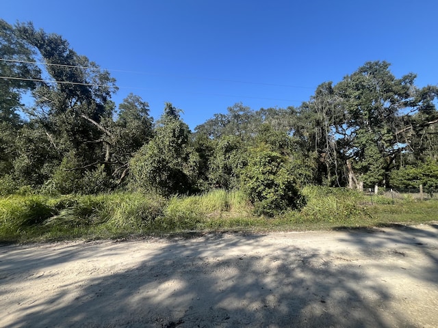 0 Grindstone Dr, Webster FL, 33597 land for sale