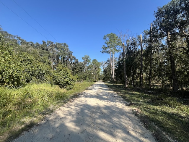 Listing photo 3 for 0 Grindstone Dr, Webster FL 33597