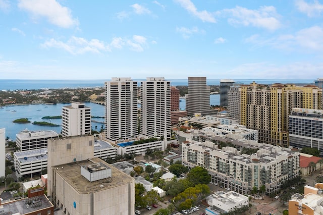 aerial view with a water view