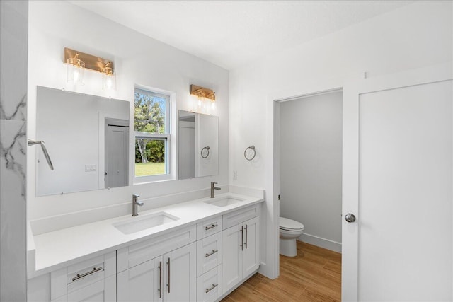 bathroom featuring toilet, wood-type flooring, and vanity