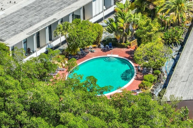 view of swimming pool featuring a patio area