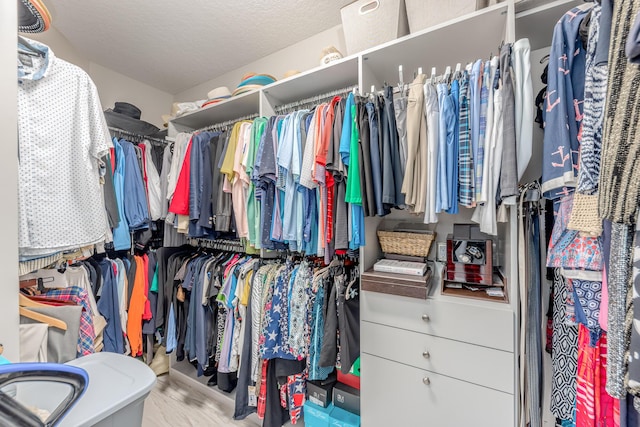 view of walk in closet