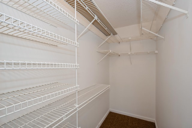 spacious closet featuring carpet