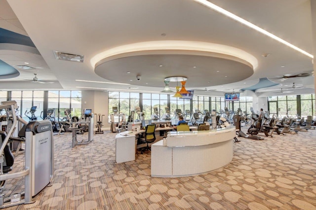 gym featuring ceiling fan, expansive windows, a raised ceiling, and light colored carpet