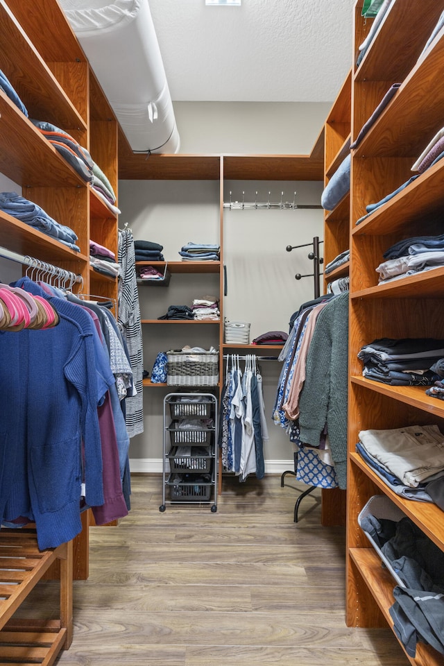 walk in closet with light hardwood / wood-style flooring