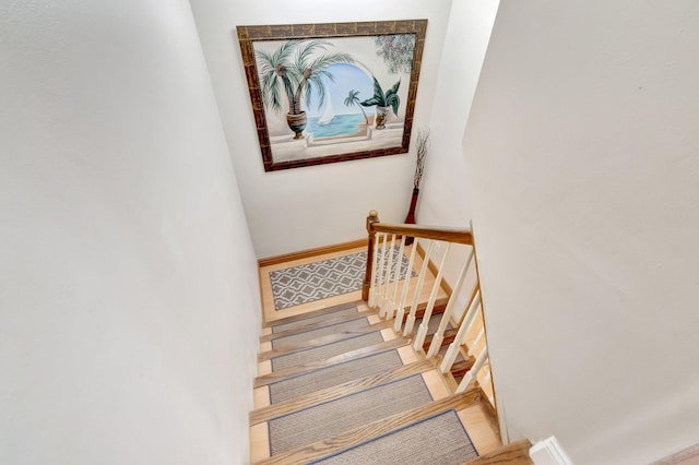 staircase featuring wood-type flooring