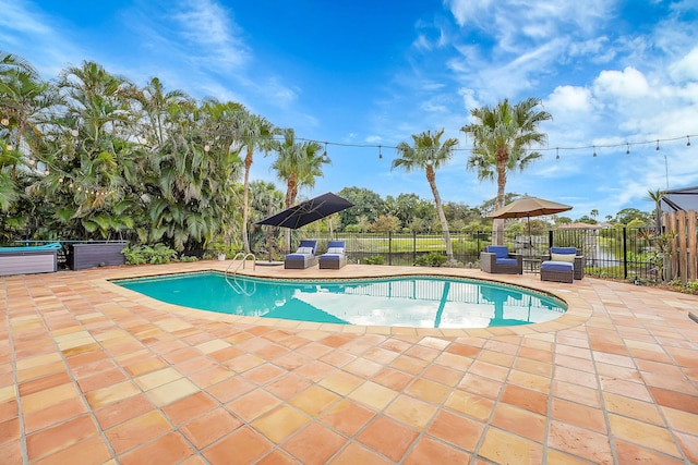 view of swimming pool featuring a patio area